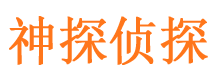 高陵侦探公司